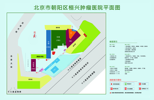 男生把鸡鸡捅入女生的下体的动漫北京市朝阳区桓兴肿瘤医院平面图